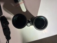 IMG_7704.jpeg