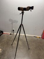 IMG_3803.jpeg