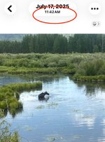 IMG_9073.jpeg