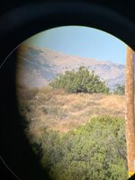 IMG_6058.jpeg