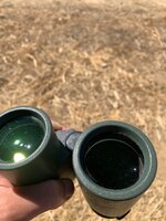 IMG_6065.jpeg
