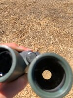 IMG_6064.jpeg
