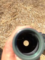 IMG_6063.jpeg