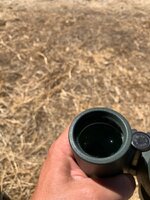 IMG_6066.jpeg