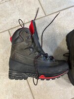 IMG_2296.jpeg