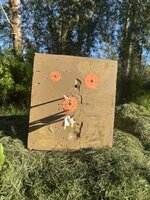 IMG_5527.jpeg