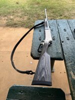 IMG_9250.jpeg