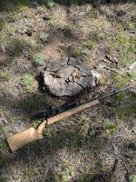 IMG_4852.jpeg IMG_4852.jpeg
