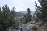 IMG_4029.JPG