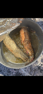 IMG_2406.png IMG_2406.png