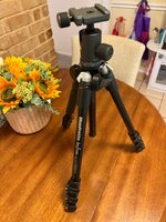 IMG_3823.jpeg