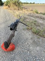 IMG_7866.jpeg
