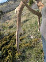 PXL_20260429_223625012.jpg