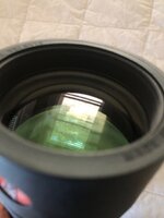 IMG_5295.jpeg