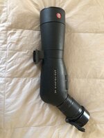 IMG_5293.jpeg