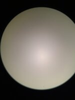 IMG_3937.jpeg