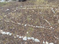 IMG_2566.jpeg