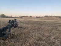 IMG_5351.jpeg