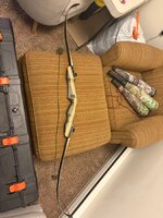 IMG_3499.jpeg IMG_3499.jpeg