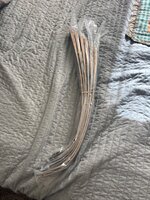 IMG_3498.jpeg IMG_3498.jpeg
