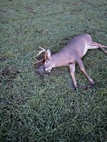 IMG_7716.jpeg IMG_7716.jpeg