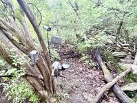 IMG_0903.jpeg