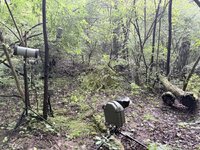 IMG_0916.jpeg