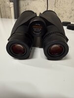 IMG_2228.jpeg