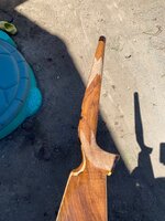 IMG_5964.jpeg