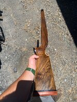 IMG_6004.jpeg