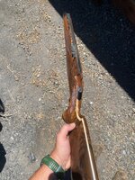 IMG_6007.jpeg