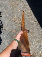 IMG_6006.jpeg