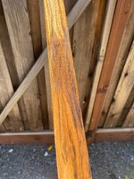 IMG_6010.jpeg