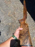 IMG_6008.jpeg