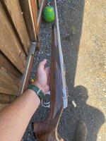 IMG_6016.jpeg