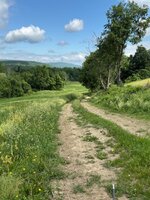 IMG_8470.jpeg IMG_8470.jpeg