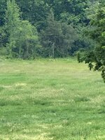 IMG_8471.jpeg
