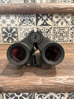 IMG_1981.jpeg
