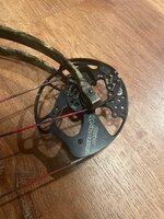 IMG_8849.jpeg