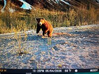 IMG_1588.jpeg IMG_1588.jpeg