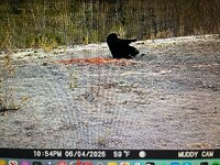 IMG_1589.jpeg IMG_1589.jpeg