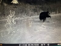 IMG_1590.jpeg IMG_1590.jpeg