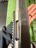 IMG_4488.jpeg