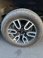 IMG_2759.jpeg