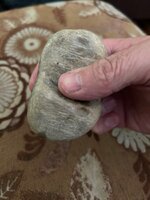 IMG_3554.jpeg IMG_3554.jpeg