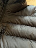 IMG_7210.jpeg