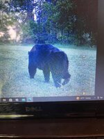 IMG_0418.jpeg