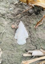 IMG_4239.jpeg