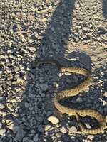 IMG_0144.jpeg
