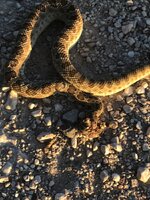 IMG_1886.jpeg